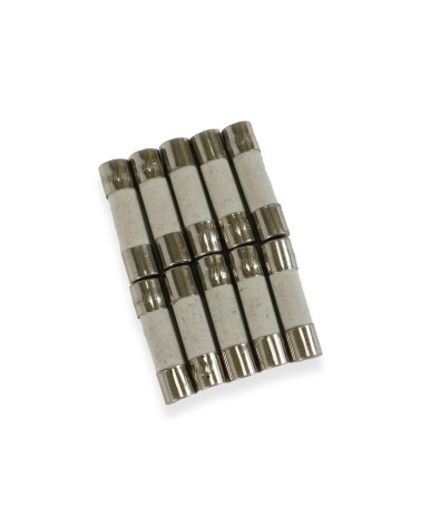 Fusibles universels pour micro-ondes 10 A - 5 x 20 mm - paquet de 10