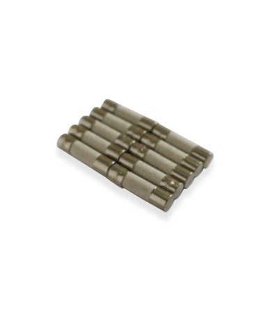 Fusibles universels pour micro-ondes 10 A - 5 x 20 mm - paquet de 10