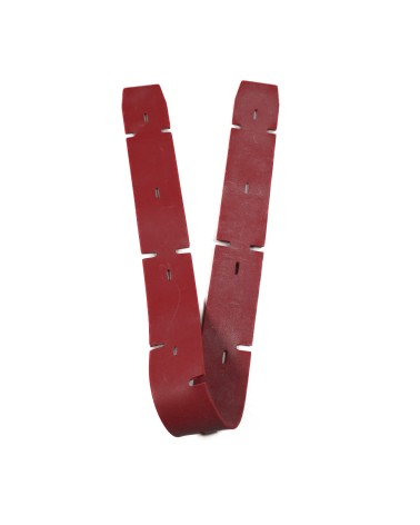 Raclette avant compatible...