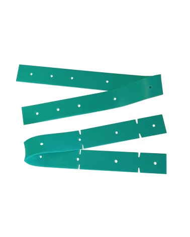 Kit raclette gomme verte...