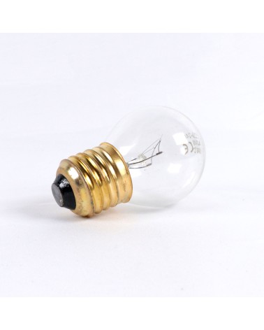 Ampoule E27 40W 300°C 230V compatible avec four Arthur Martin, Electrolux, Faure, Zanussi... Alternative pour réfé