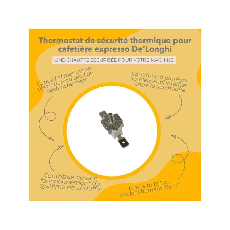 Infographie des avantages du produit